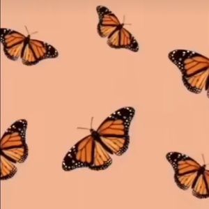 Meet your Posher, Breuynah